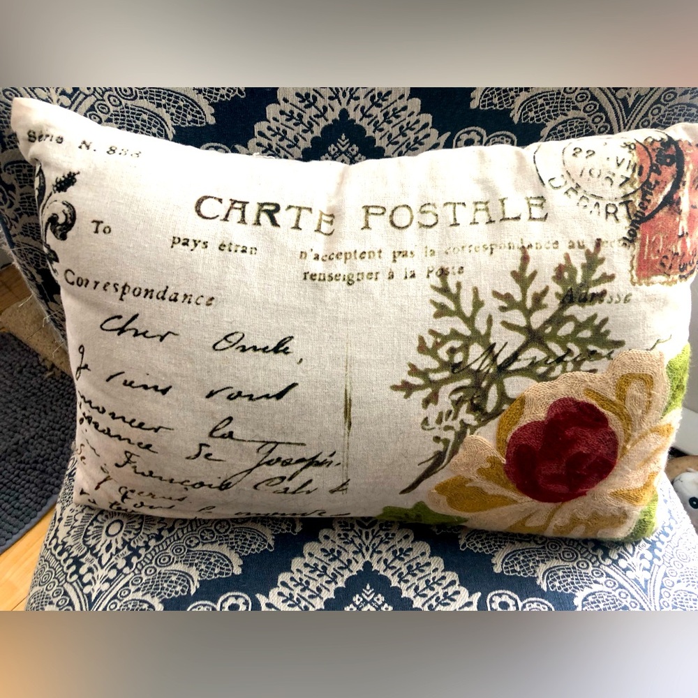 20/$20 🫶🏻 decor pillow